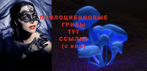 соль ск Алексеевка