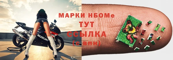 индика Алзамай